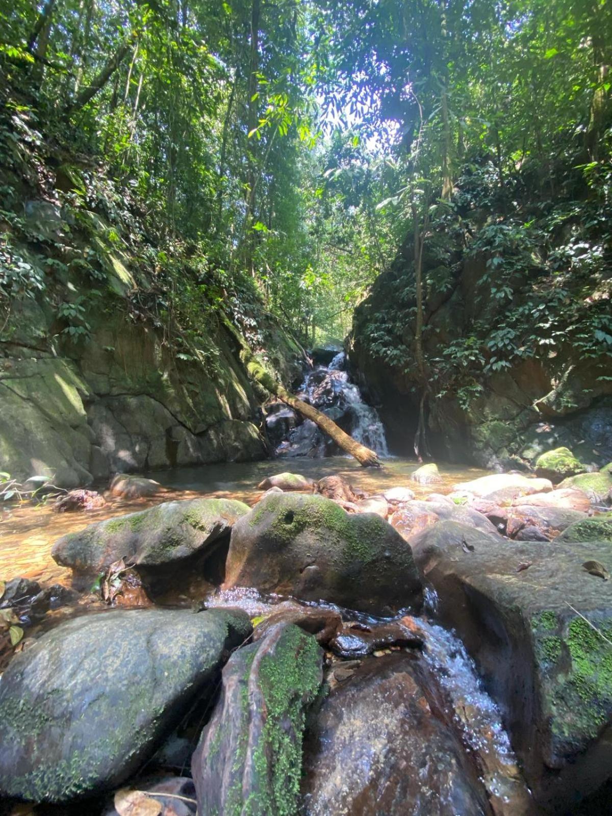 Eco Trekking Lodge, Bar & Jungle Tour'S Bukit Lawang Luaran gambar