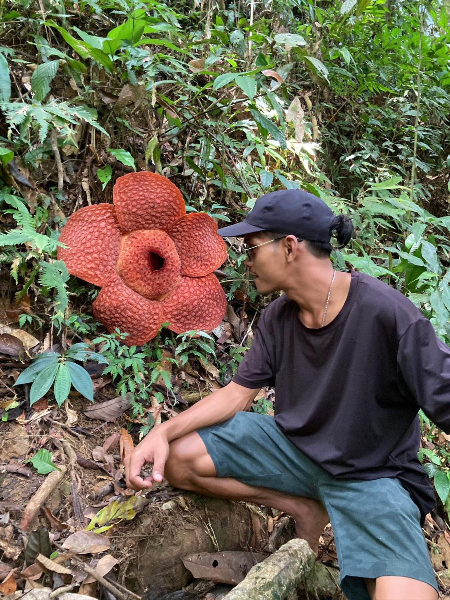 Eco Trekking Lodge, Bar & Jungle Tour'S Bukit Lawang Luaran gambar