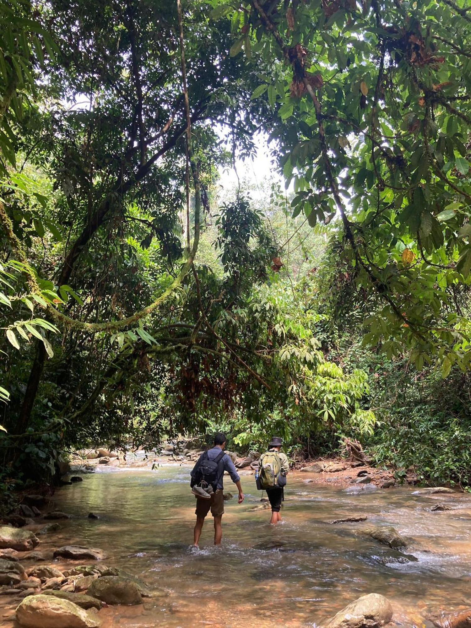 Eco Trekking Lodge, Bar & Jungle Tour'S Bukit Lawang Luaran gambar