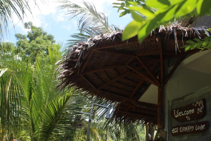 Eco Trekking Lodge, Bar & Jungle Tour'S Bukit Lawang Luaran gambar