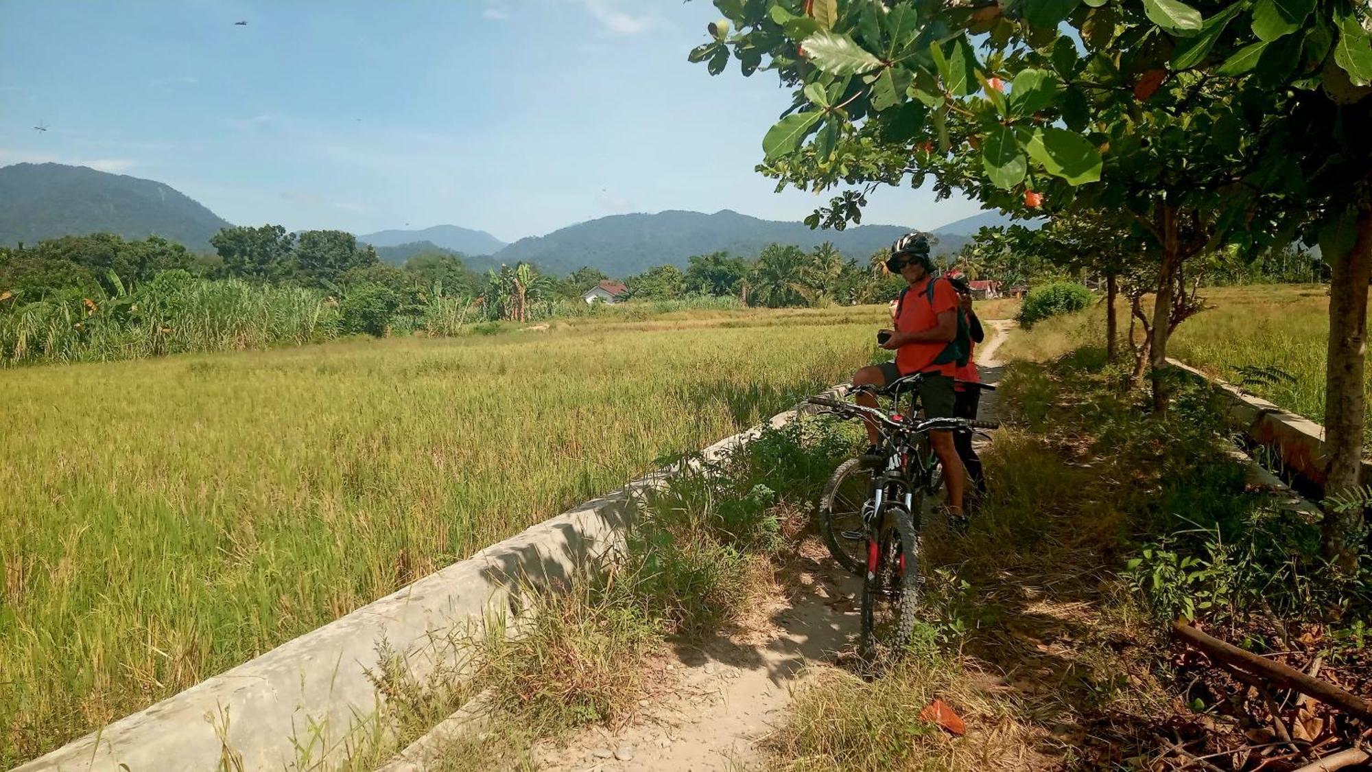 Eco Trekking Lodge, Bar & Jungle Tour'S Bukit Lawang Luaran gambar