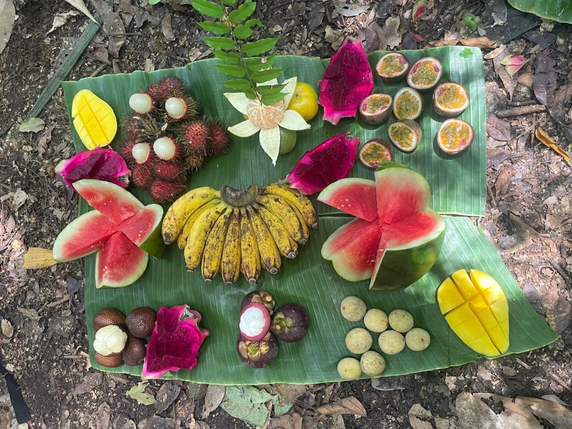 Eco Trekking Lodge, Bar & Jungle Tour'S Bukit Lawang Luaran gambar