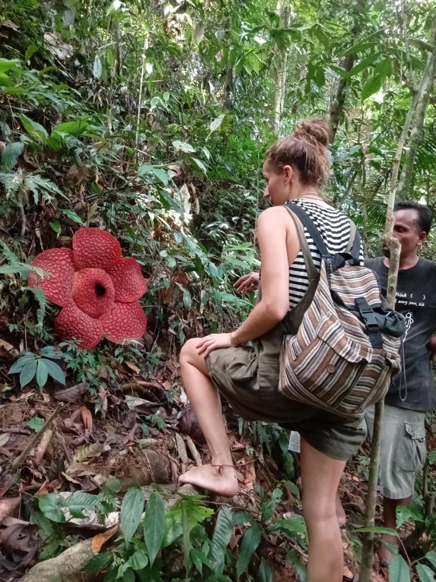 Eco Trekking Lodge, Bar & Jungle Tour'S Bukit Lawang Luaran gambar