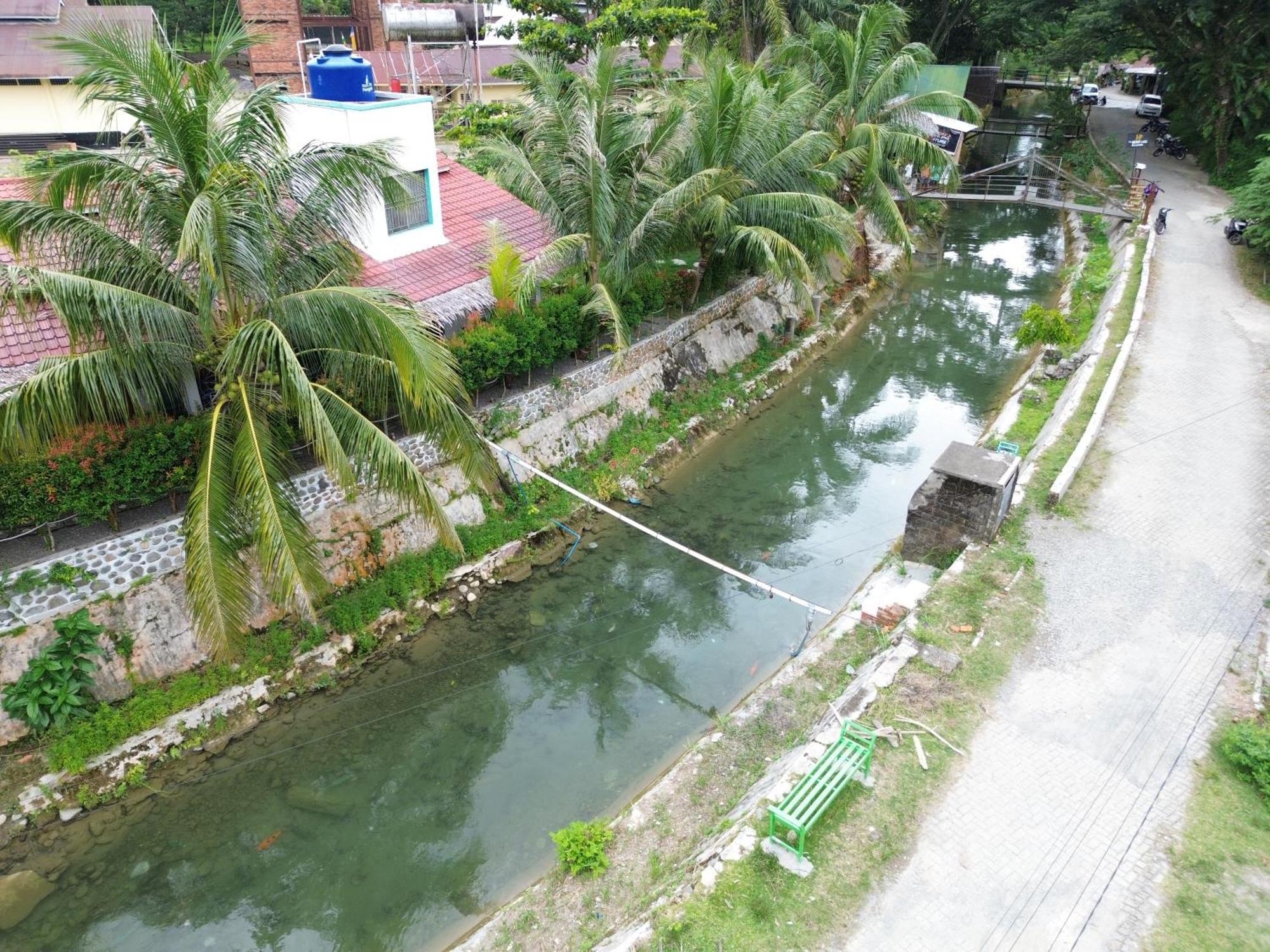 Eco Trekking Lodge, Bar & Jungle Tour'S Bukit Lawang Bilik gambar